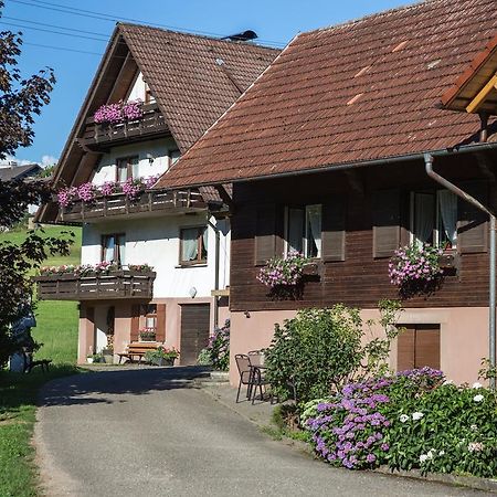 Kornbauernhof Apartman Oberharmersbach Kültér fotó