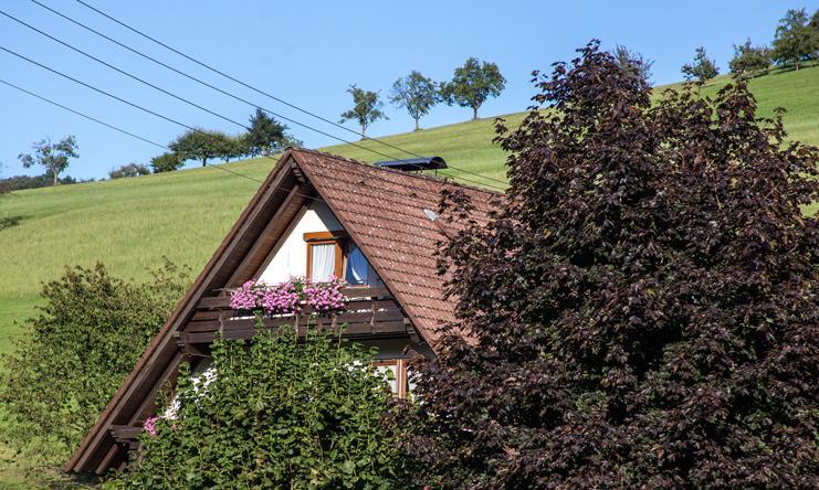 Kornbauernhof Apartman Oberharmersbach Kültér fotó